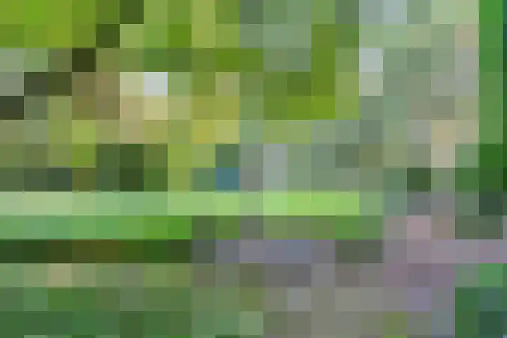 Ommerweg 41 Zuidwolde thumbnail 79