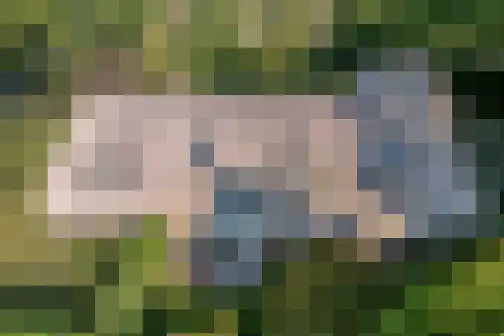 Ommerweg 41 Zuidwolde thumbnail 8