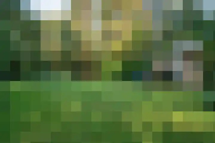 Ommerweg 41 Zuidwolde thumbnail 81