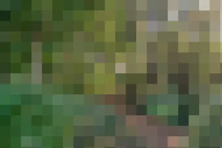 Ommerweg 41 Zuidwolde thumbnail 82