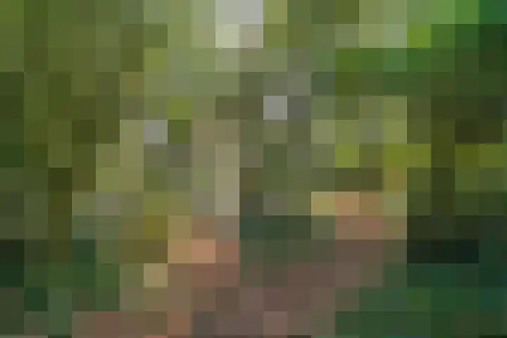 Ommerweg 41 Zuidwolde thumbnail 83
