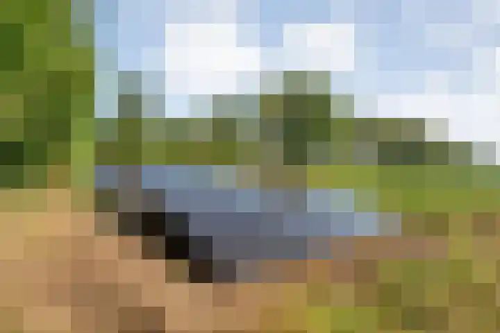 Ommerweg 41 Zuidwolde thumbnail 84