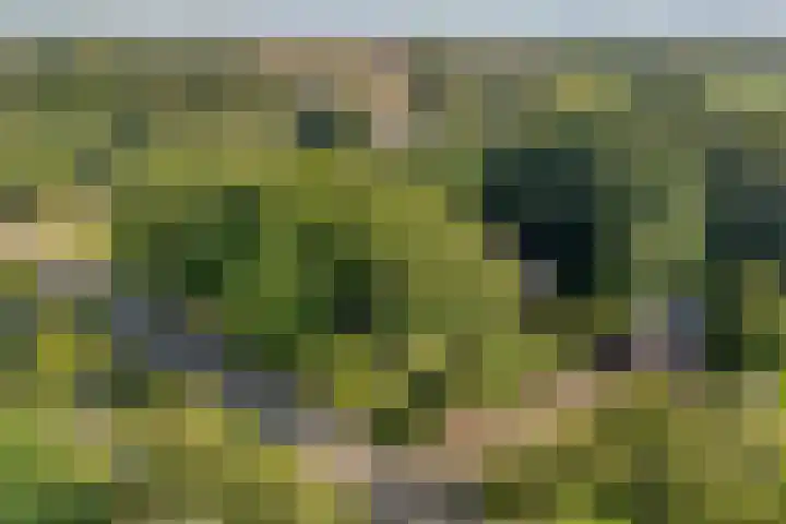 Ommerweg 41 Zuidwolde thumbnail 85