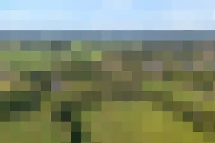 Ommerweg 41 Zuidwolde thumbnail 86