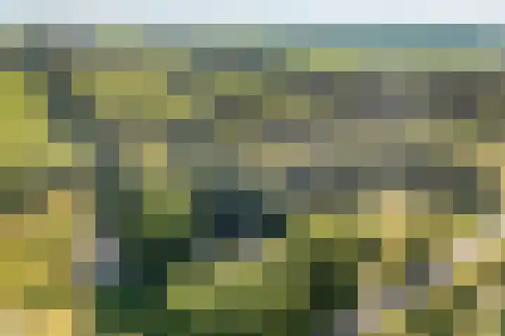 Ommerweg 41 Zuidwolde thumbnail 87
