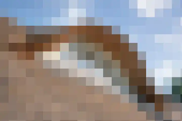Ommerweg 41 Zuidwolde thumbnail 9