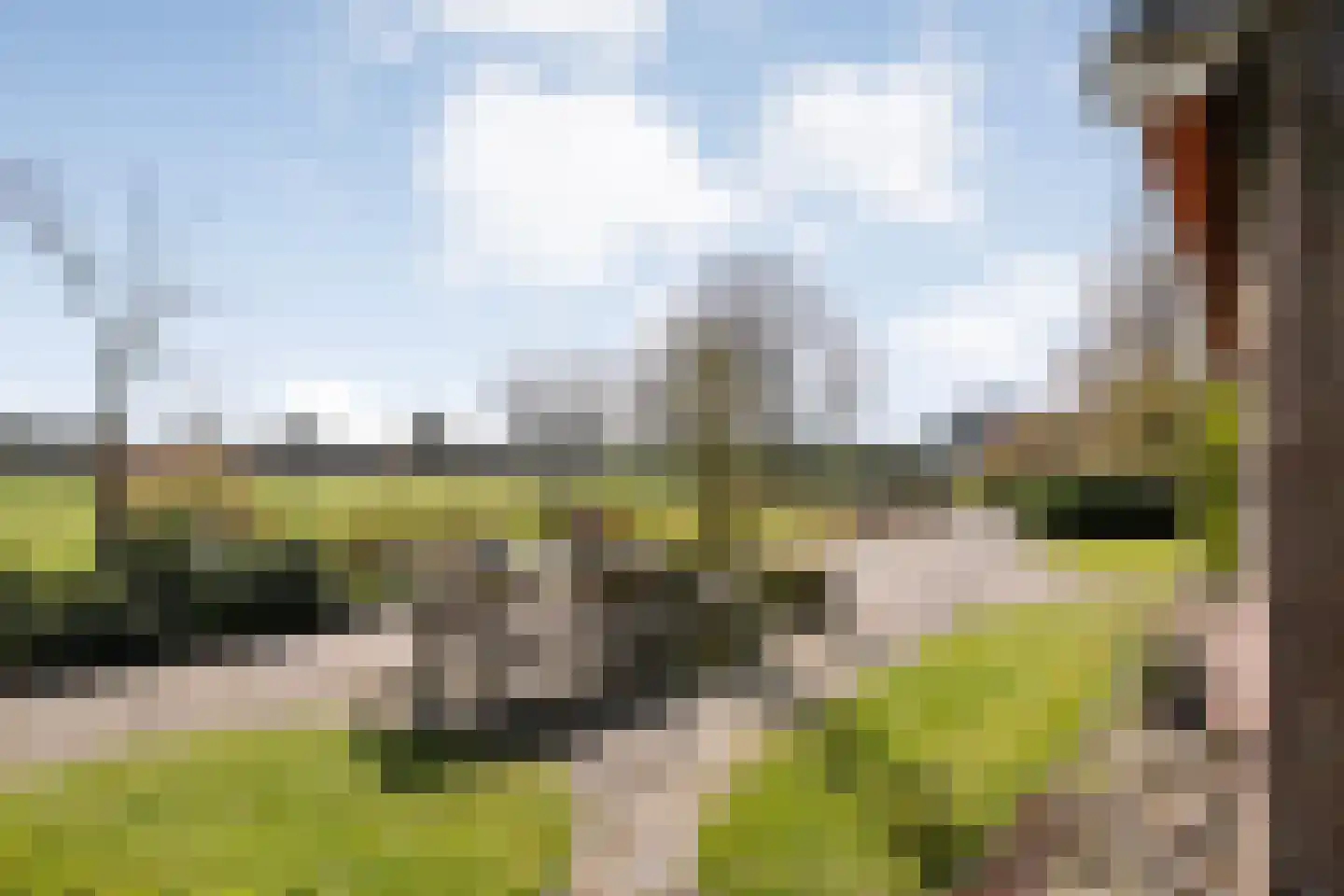 Ommerweg 45 Zuidwolde thumbnail 40