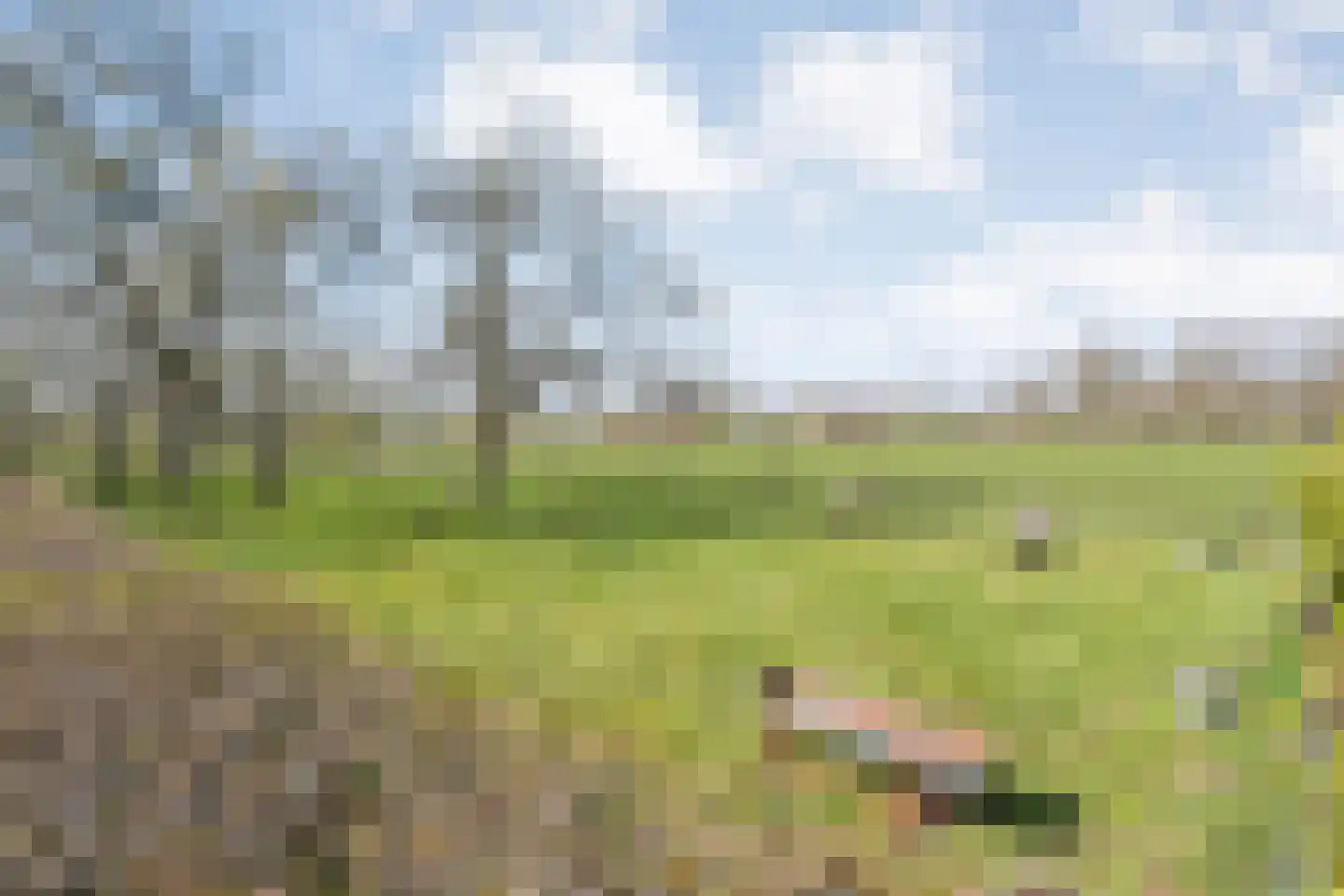 Ommerweg 45 Zuidwolde thumbnail 43