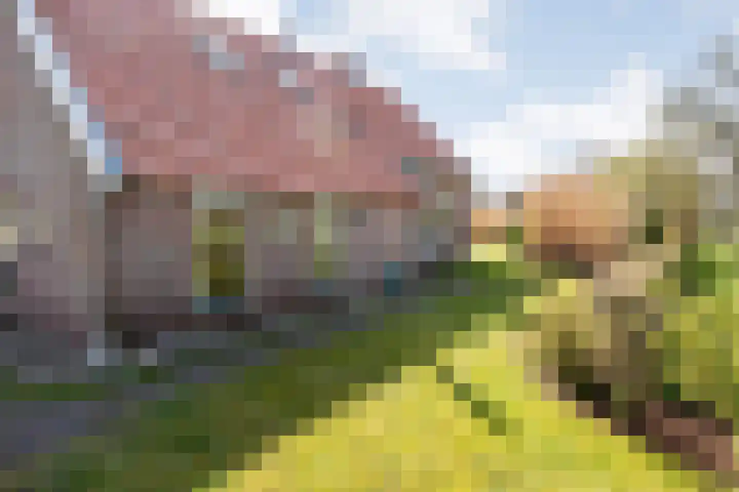 Ommerweg 45 Zuidwolde thumbnail 47