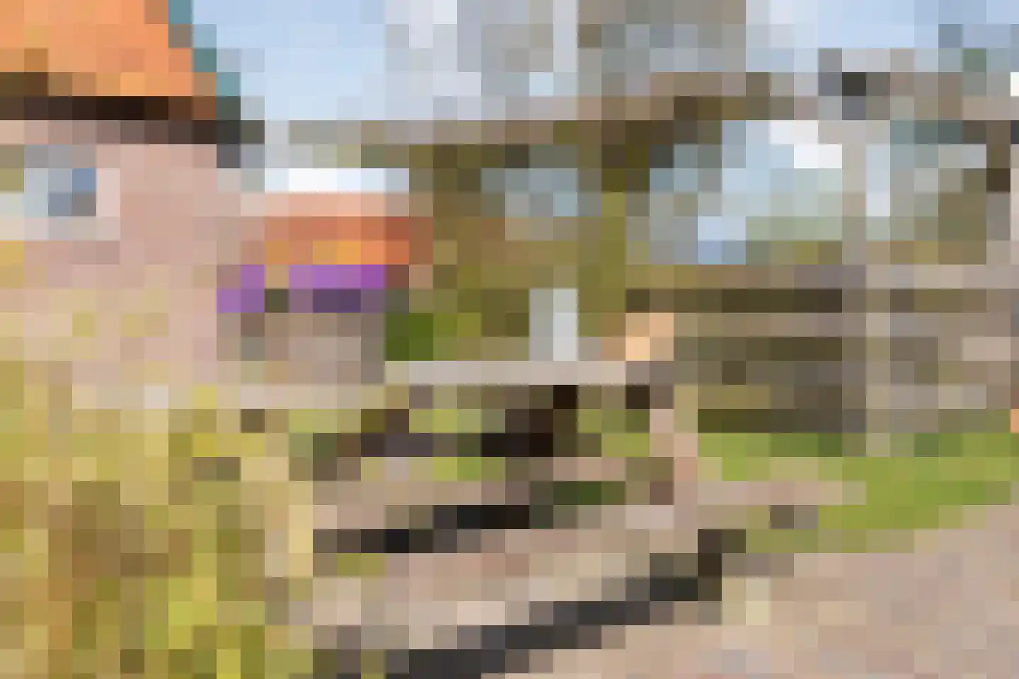Ommerweg 45 Zuidwolde thumbnail 50