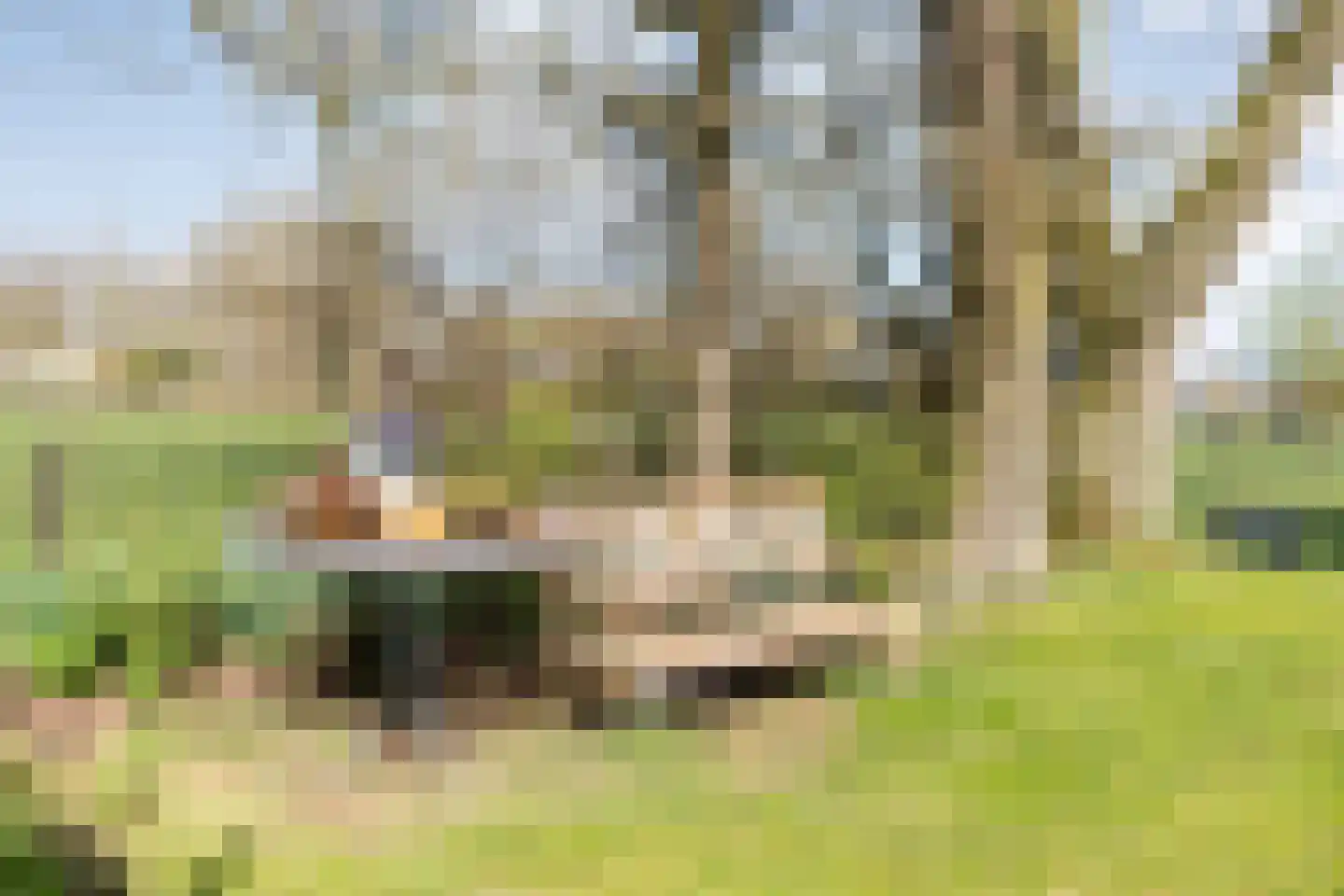 Ommerweg 45 Zuidwolde thumbnail 51