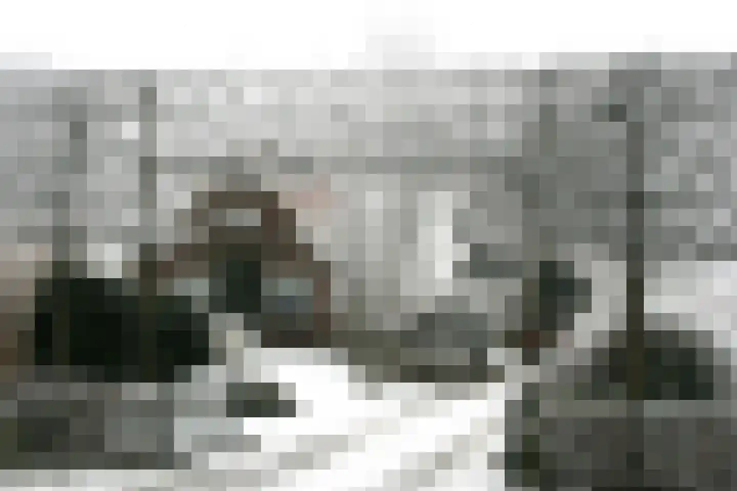 Ommerweg 45 Zuidwolde thumbnail 52