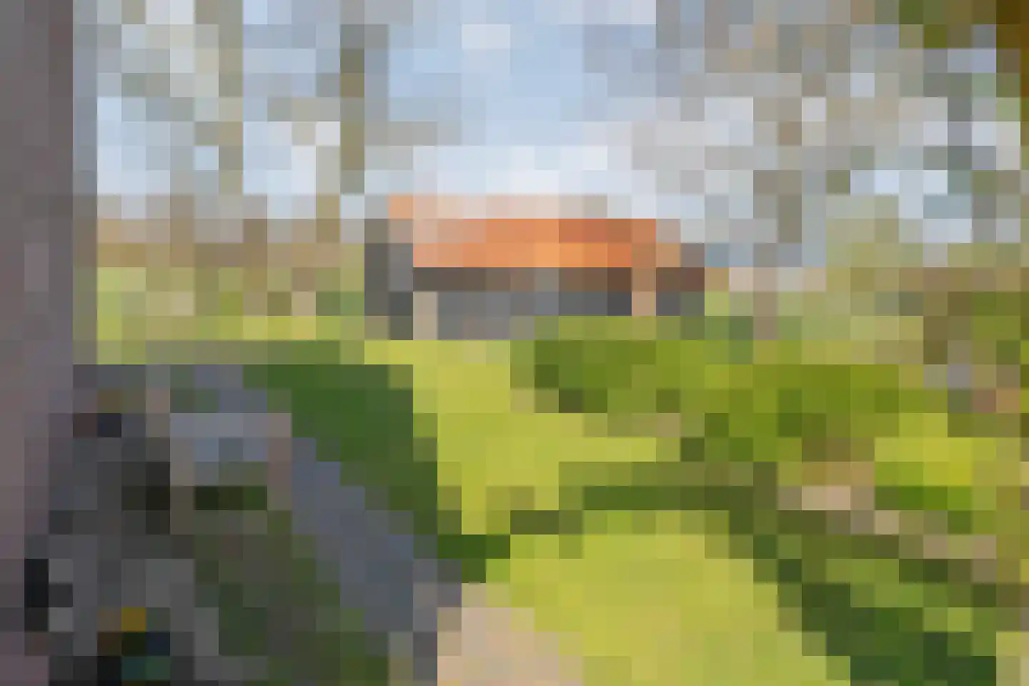 Ommerweg 45 Zuidwolde thumbnail 55