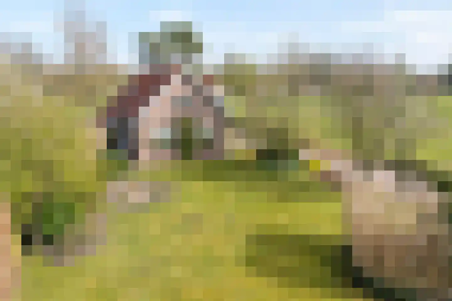 Ommerweg 45 Zuidwolde thumbnail 7