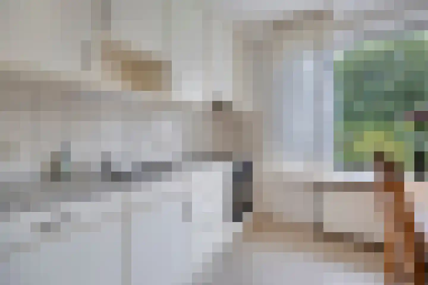 Ommerweg 63 Rheezerveen thumbnail 16