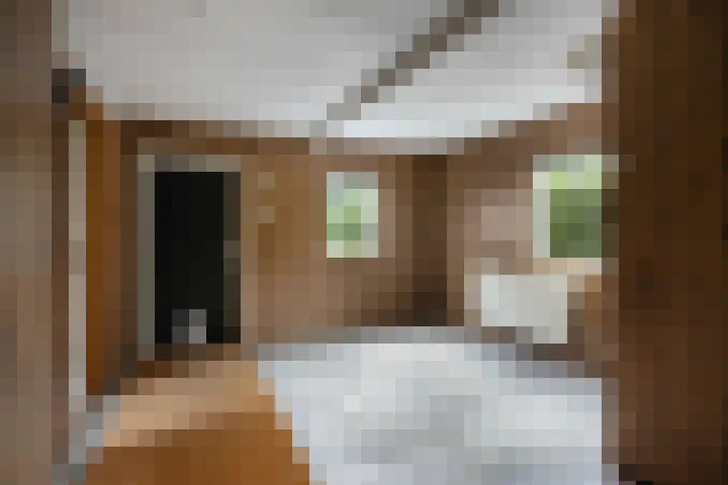 Ommerweg 63 Rheezerveen thumbnail 22