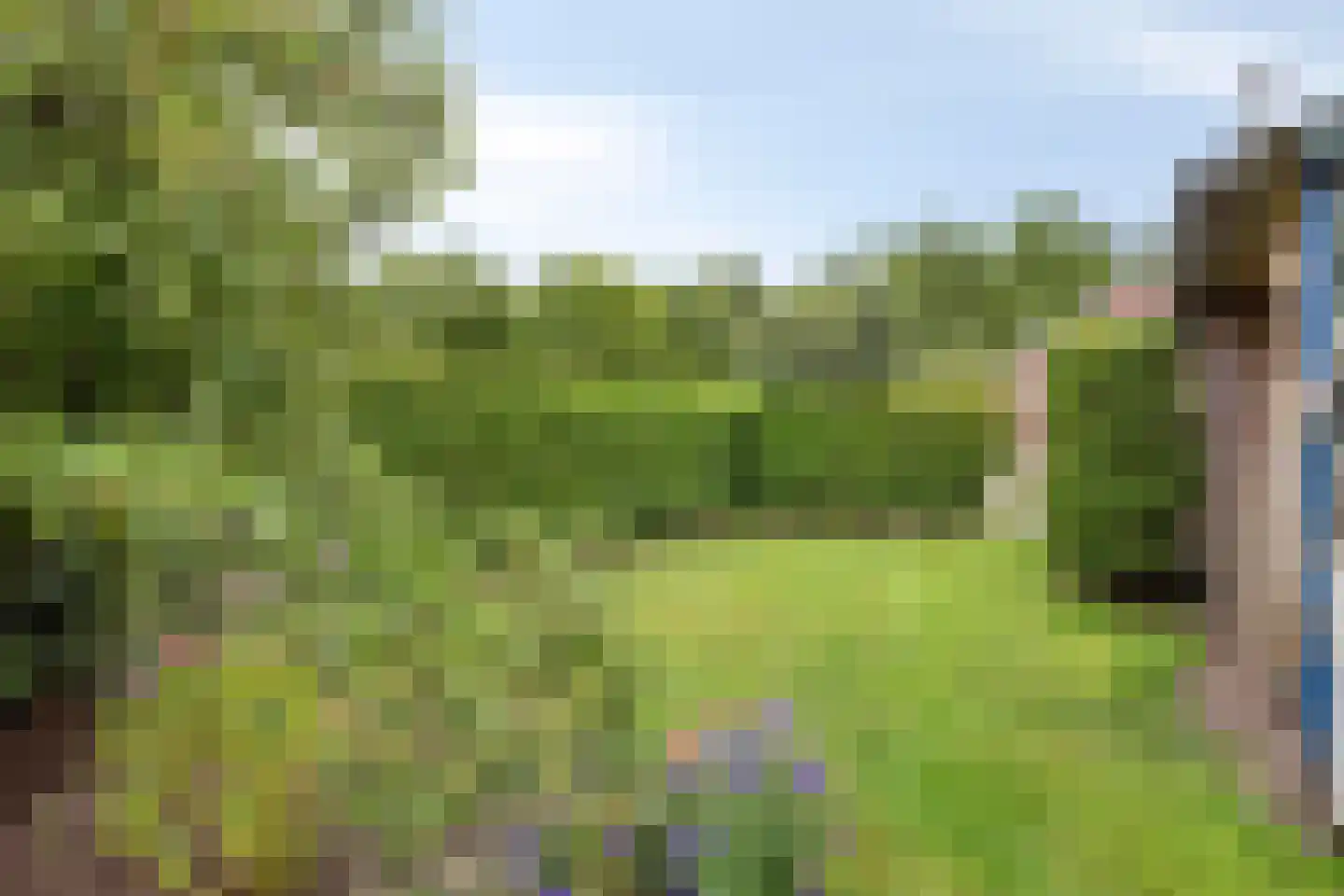 Ommerweg 63 Rheezerveen thumbnail 40