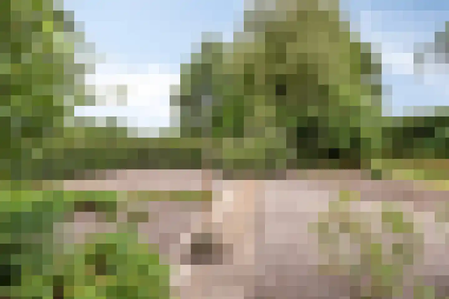 Ommerweg 63 Rheezerveen thumbnail 44