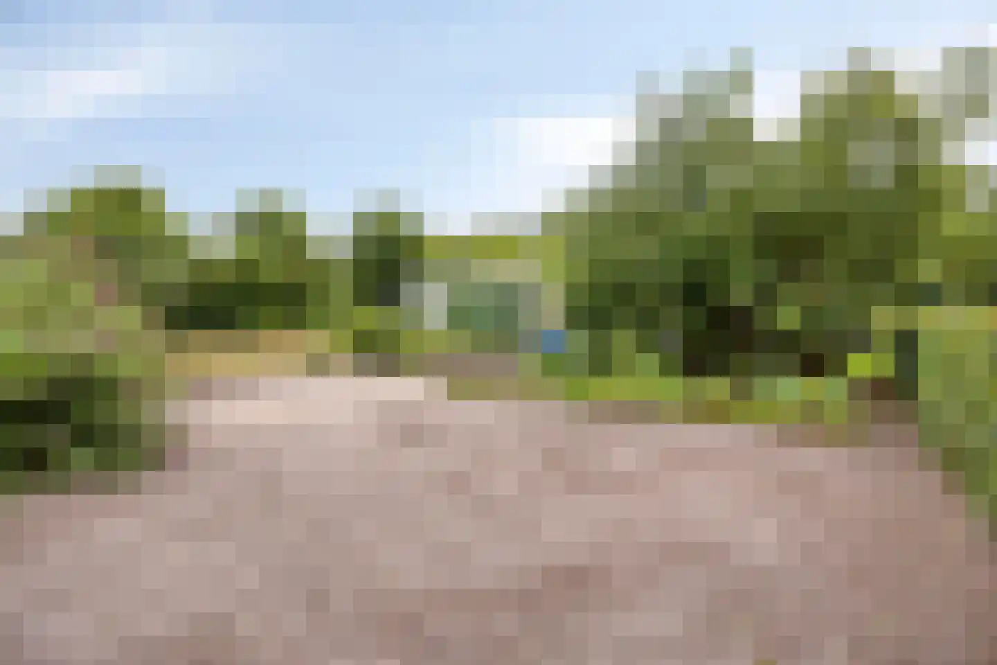 Ommerweg 63 Rheezerveen thumbnail 45