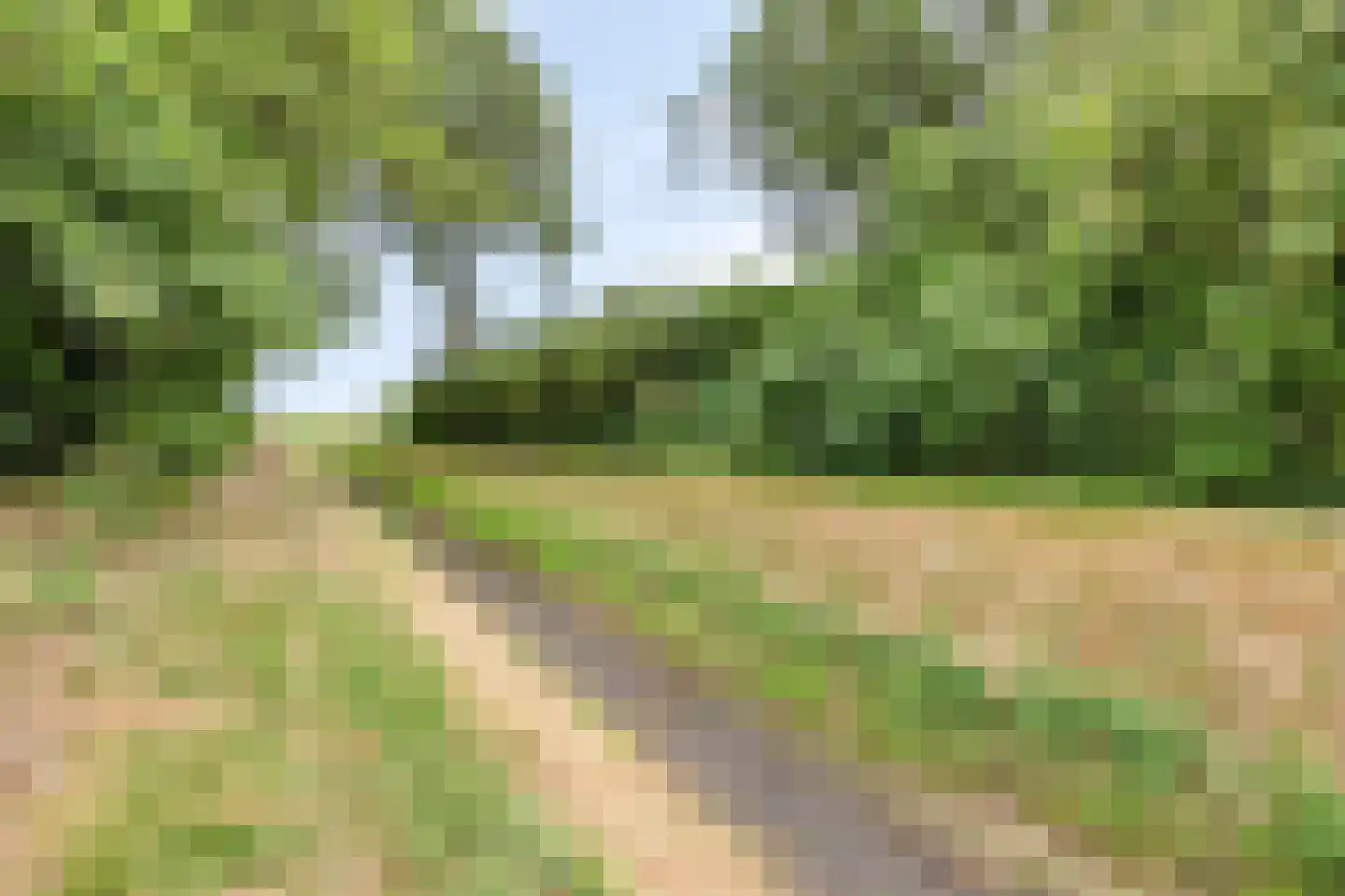 Ommerweg 63 Rheezerveen thumbnail 46