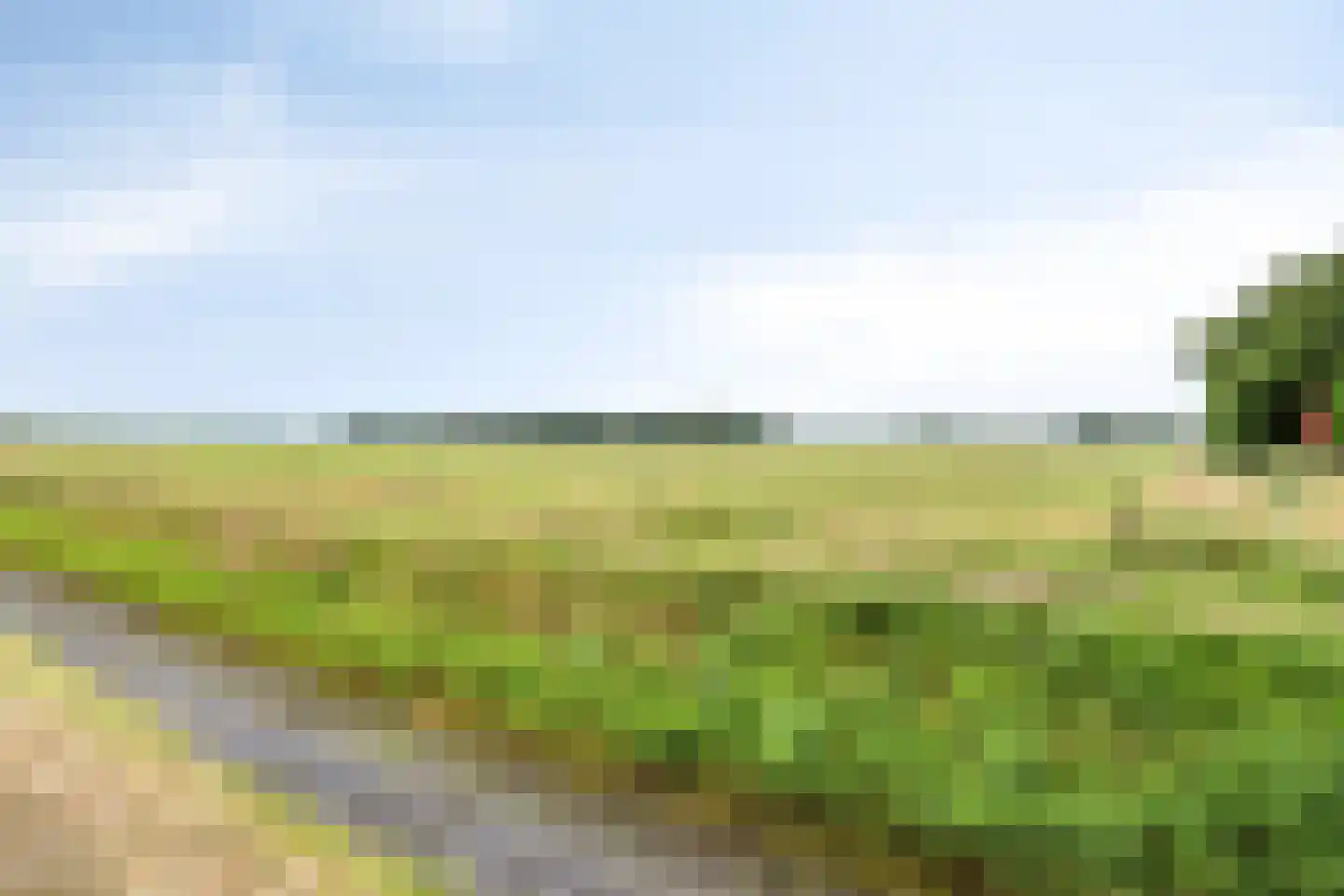 Ommerweg 63 Rheezerveen thumbnail 47