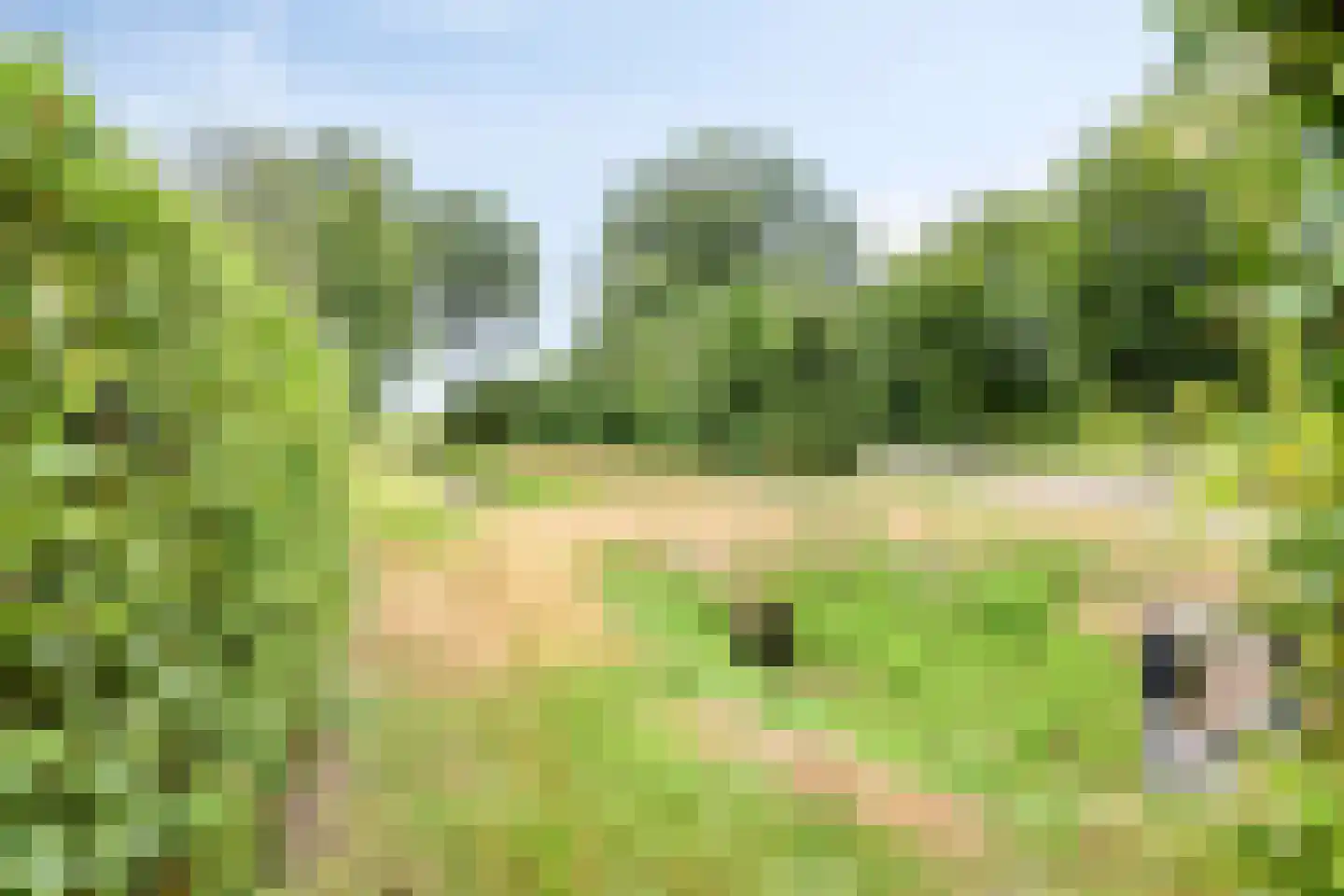 Ommerweg 63 Rheezerveen thumbnail 48
