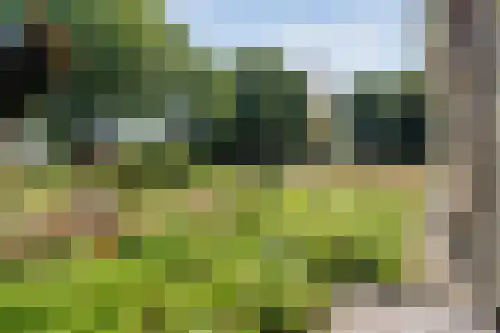 Ommerweg 67 Hellendoorn thumbnail 38
