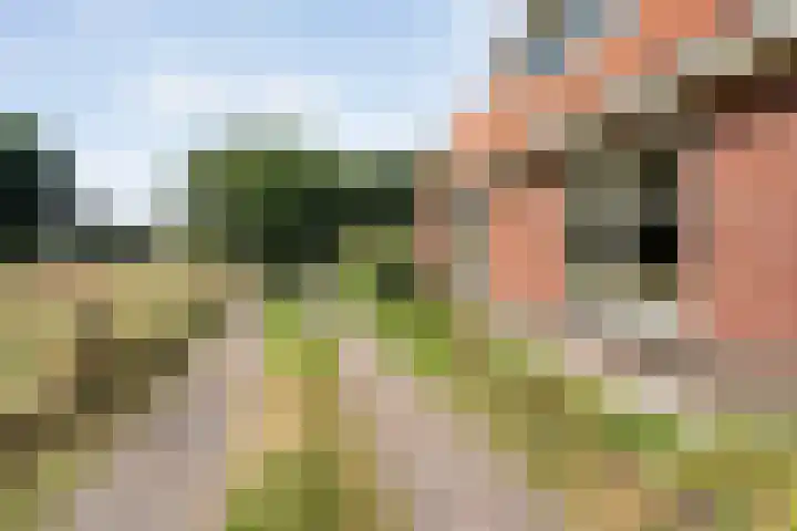 Ommerweg 67 Hellendoorn thumbnail 39