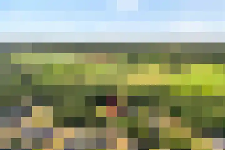 Ommerweg 67 Hellendoorn thumbnail 4