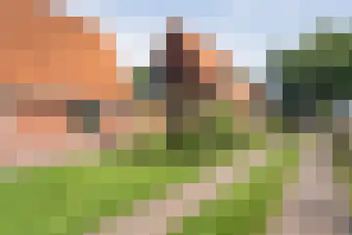 Ommerweg 67 Hellendoorn thumbnail 40