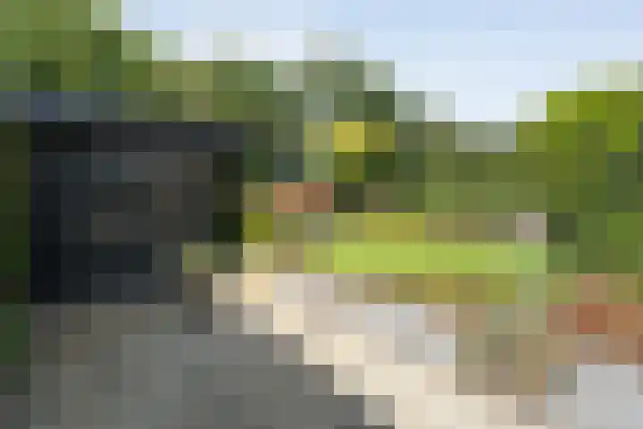 Ommerweg 67 Hellendoorn thumbnail 42