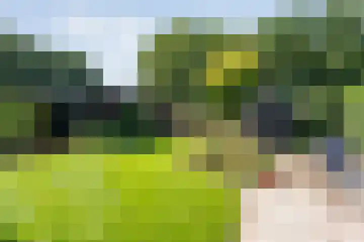 Ommerweg 67 Hellendoorn thumbnail 44