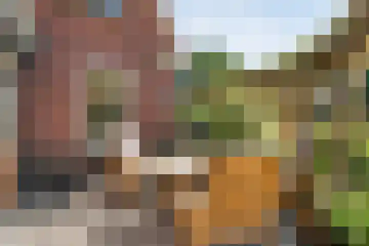 Ommerweg 67 Hellendoorn thumbnail 48