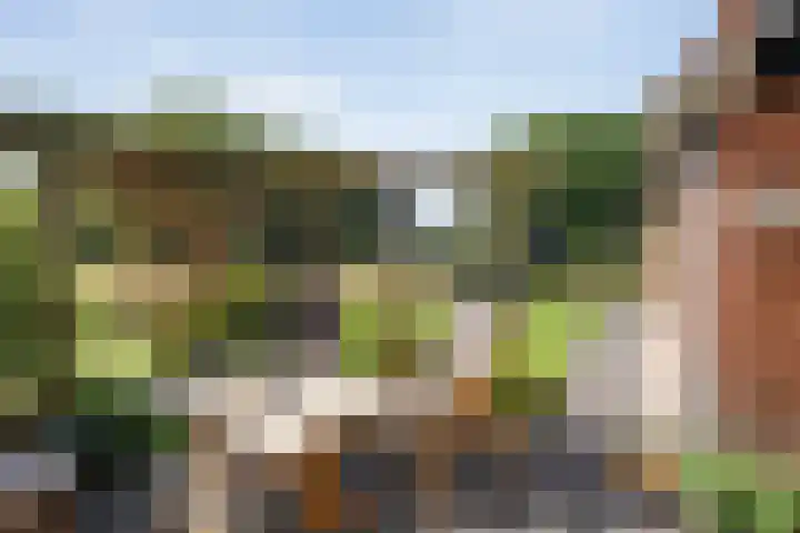 Ommerweg 67 Hellendoorn thumbnail 49