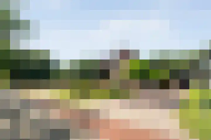 Ommerweg 67 Hellendoorn thumbnail 54