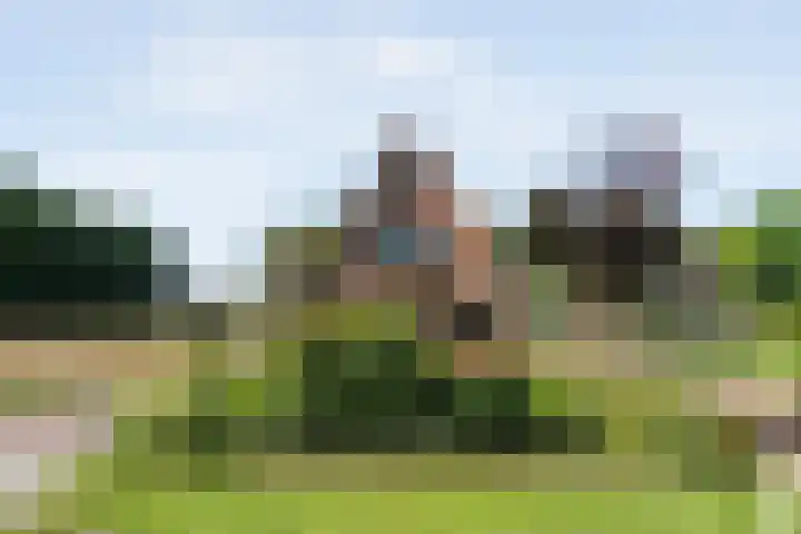 Ommerweg 67 Hellendoorn thumbnail 62