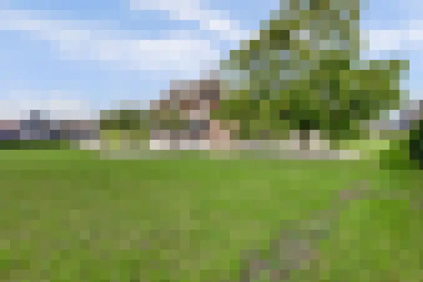 Ommestraat 3 Kesteren thumbnail 103