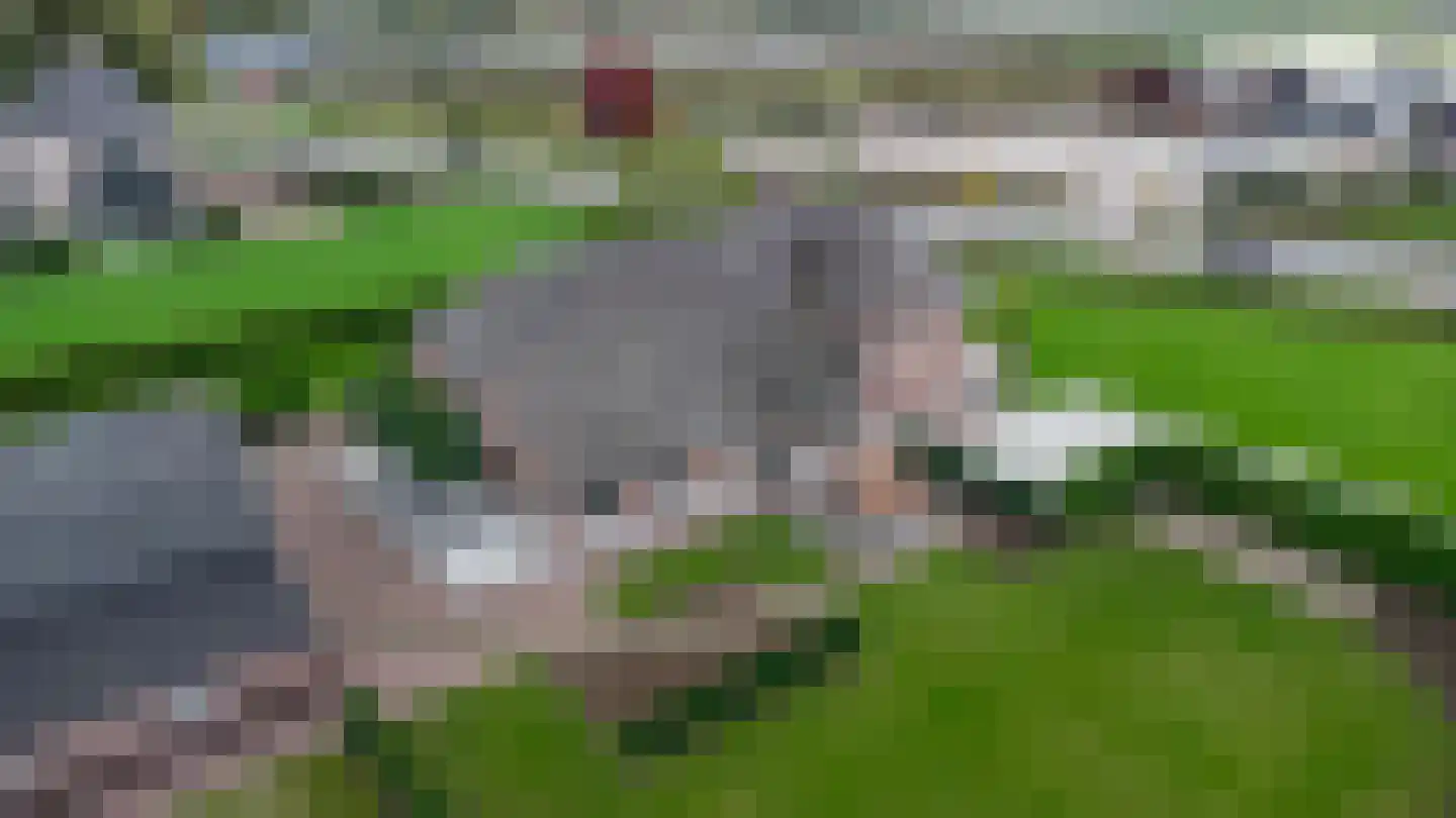 Ommestraat 3 Kesteren thumbnail 111