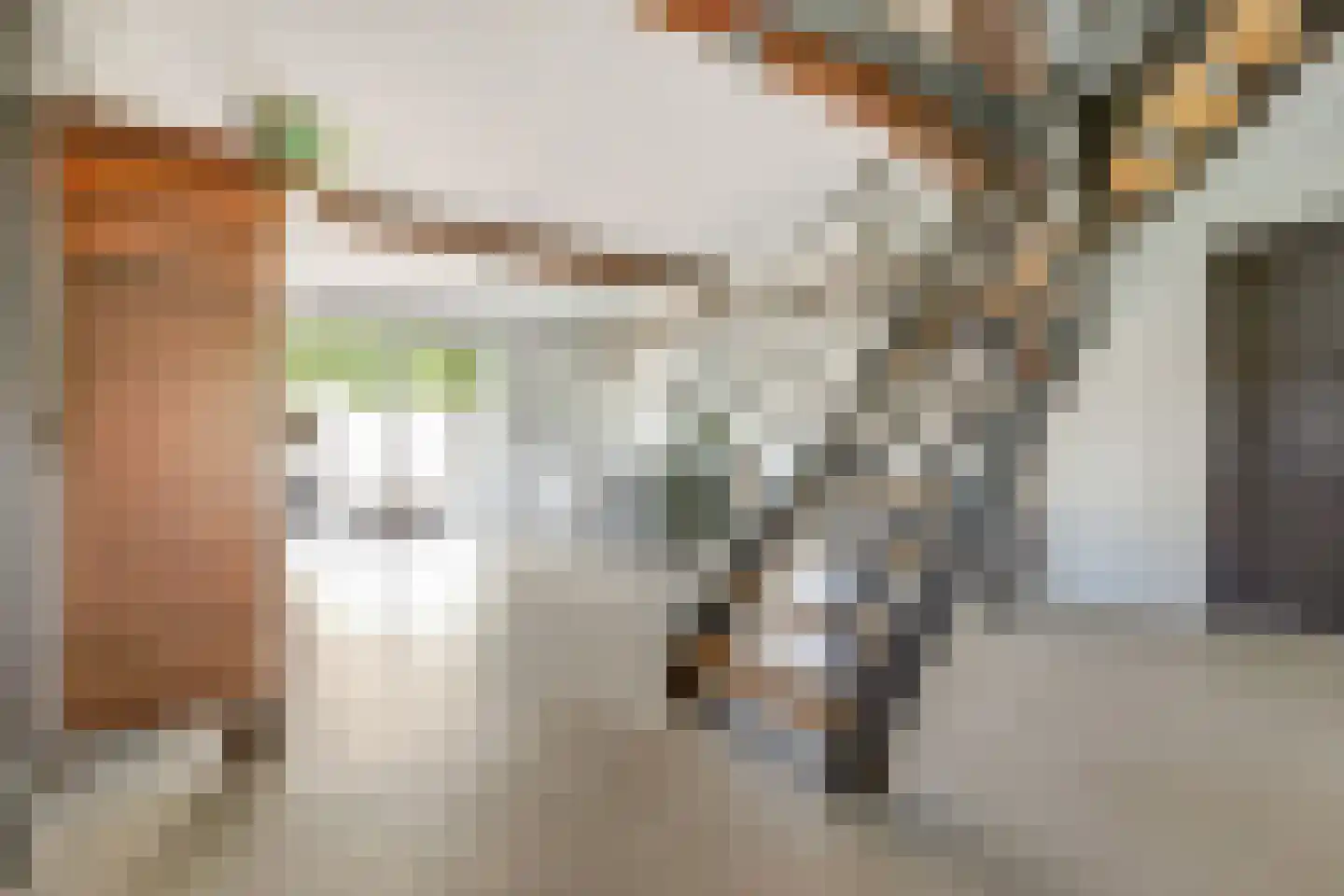 Ommestraat 3 Kesteren thumbnail 32