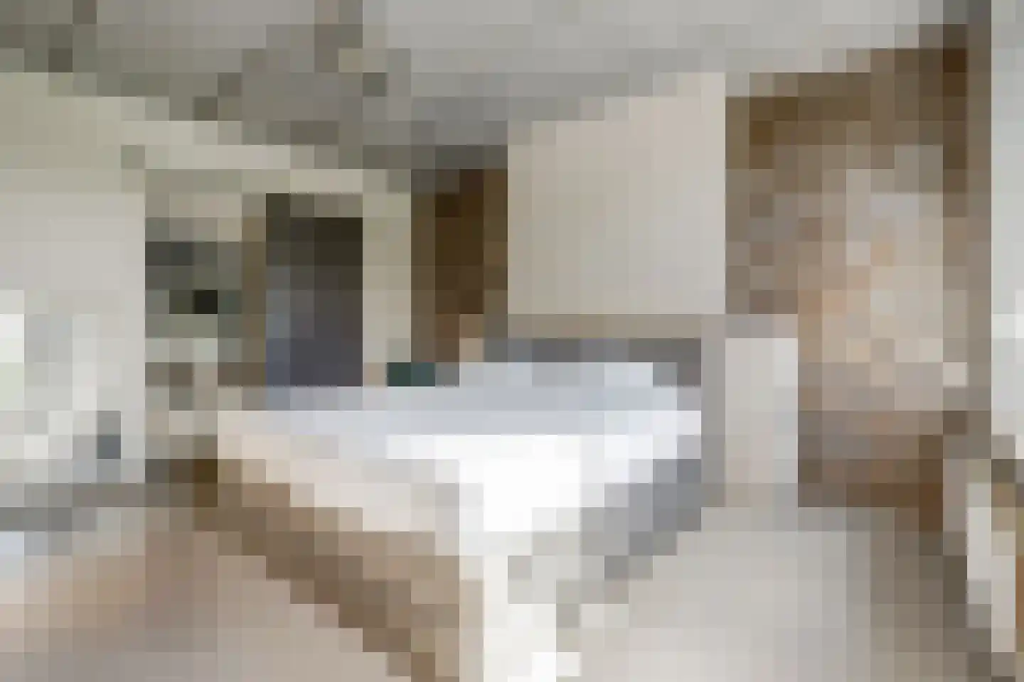 Ommestraat 3 Kesteren thumbnail 45