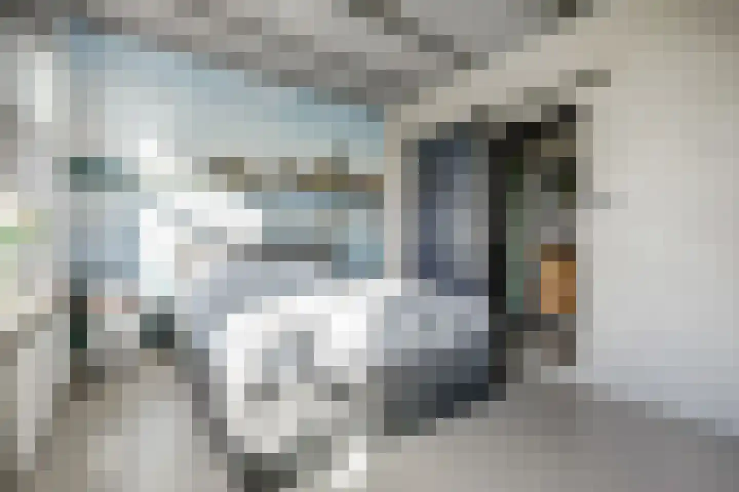 Ommestraat 3 Kesteren thumbnail 53