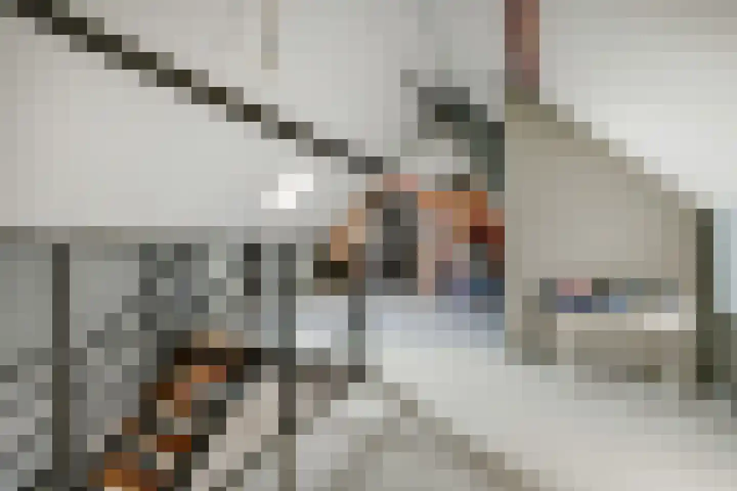 Ommestraat 3 Kesteren thumbnail 62