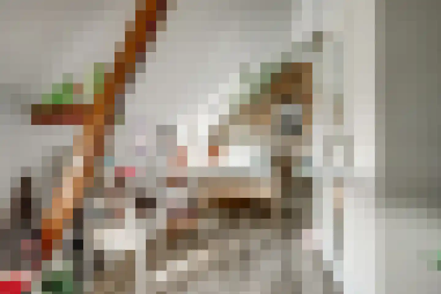 Ommestraat 3 Kesteren thumbnail 67