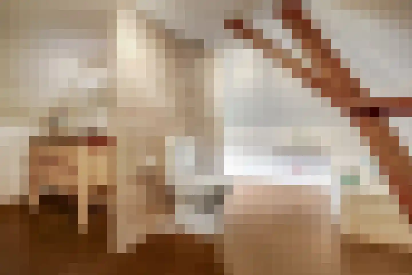 Ommestraat 3 Kesteren thumbnail 72