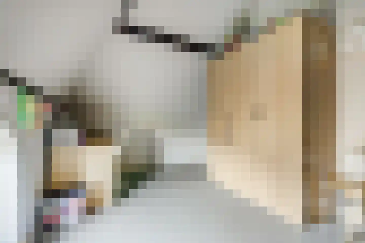 Ommestraat 3 Kesteren thumbnail 82