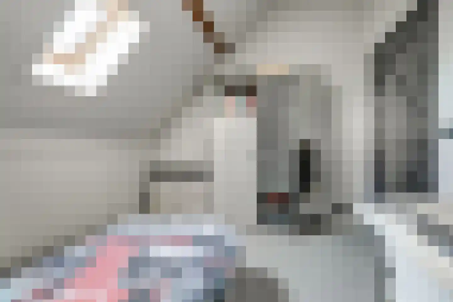 Ommestraat 3 Kesteren thumbnail 84