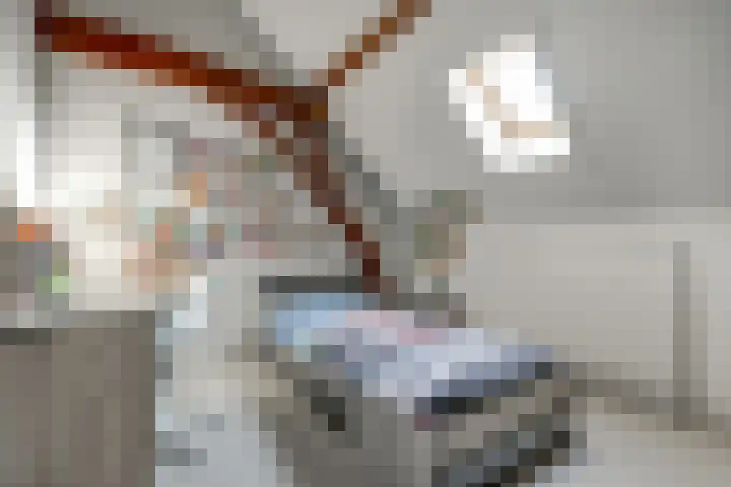 Ommestraat 3 Kesteren thumbnail 85