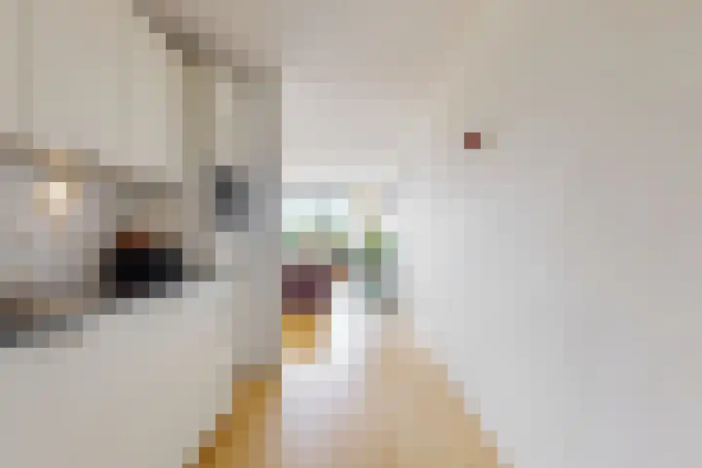 Ommevoort 212 Oegstgeest thumbnail 13