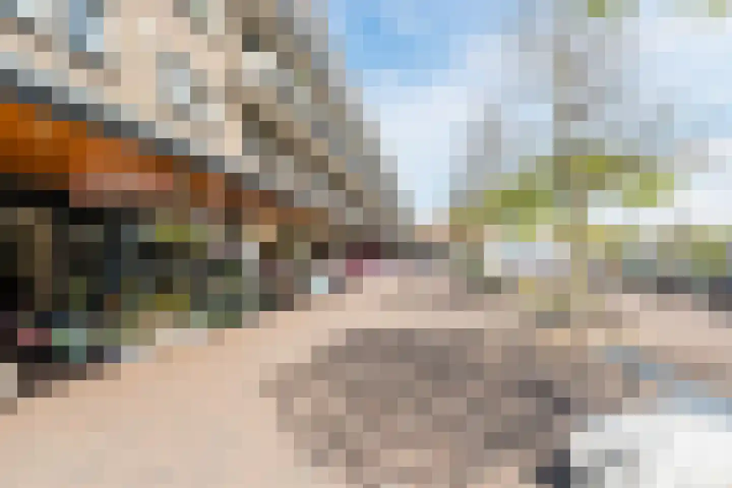 Ommevoort 216 Oegstgeest thumbnail 35