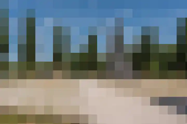Ommevoort 436 Oegstgeest thumbnail 35